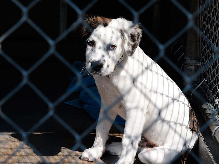 Ikke steng meg inne...